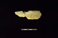 陶罐藏品圖，第1張